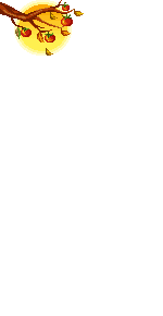 Elouai Accessory