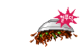 Elouai Accessory