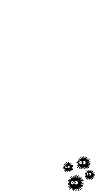 Elouai Accessory