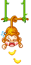 Elouai Accessory