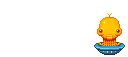 Elouai Accessory