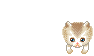 Elouai Accessory
