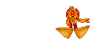 Elouai Accessory