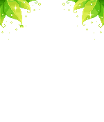 Elouai Accessory