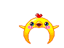 Elouai Accessory