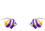 Elouai Accessory