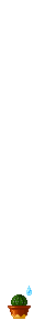 Elouai Item