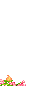 Elouai Item