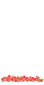 Elouai Item
