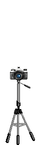Elouai Item