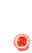 Elouai Item