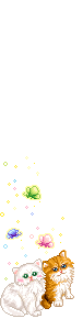 Elouai Pet