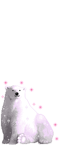 Elouai Pet