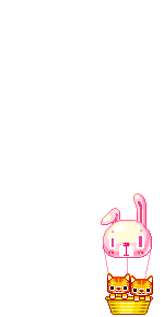 Elouai Pet