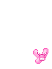 Elouai Pet