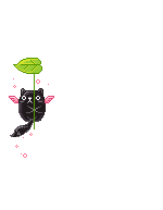 Elouai Pet