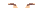 Elouai Eyebrows