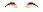 Elouai Eyebrows