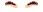 Elouai Eyebrows