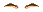 Elouai Eyebrows