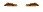 Elouai Eyebrows