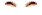 Elouai Eyebrows