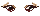 Elouai Eyes