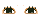 Elouai Eyes