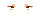Elouai Eyes