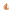 Elouai Nose