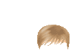 Elouai Hair