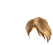 Elouai Hair