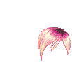 Elouai Hair