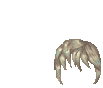 Elouai Hair