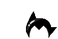 Elouai Hair