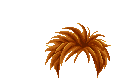 Elouai Hair