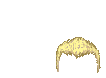 Elouai Hair