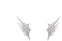 Elouai Hair