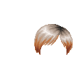 Elouai Hair