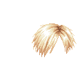 Elouai Hair