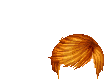 Elouai Hair