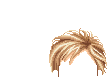 Elouai Hair