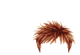 Elouai Hair