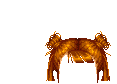 Elouai Hair