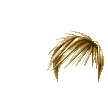 Elouai Hair
