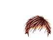 Elouai Hair