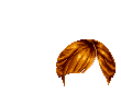 Elouai Hair