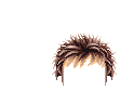 Elouai Hair