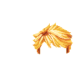 Elouai Hair