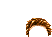 Elouai Hair
